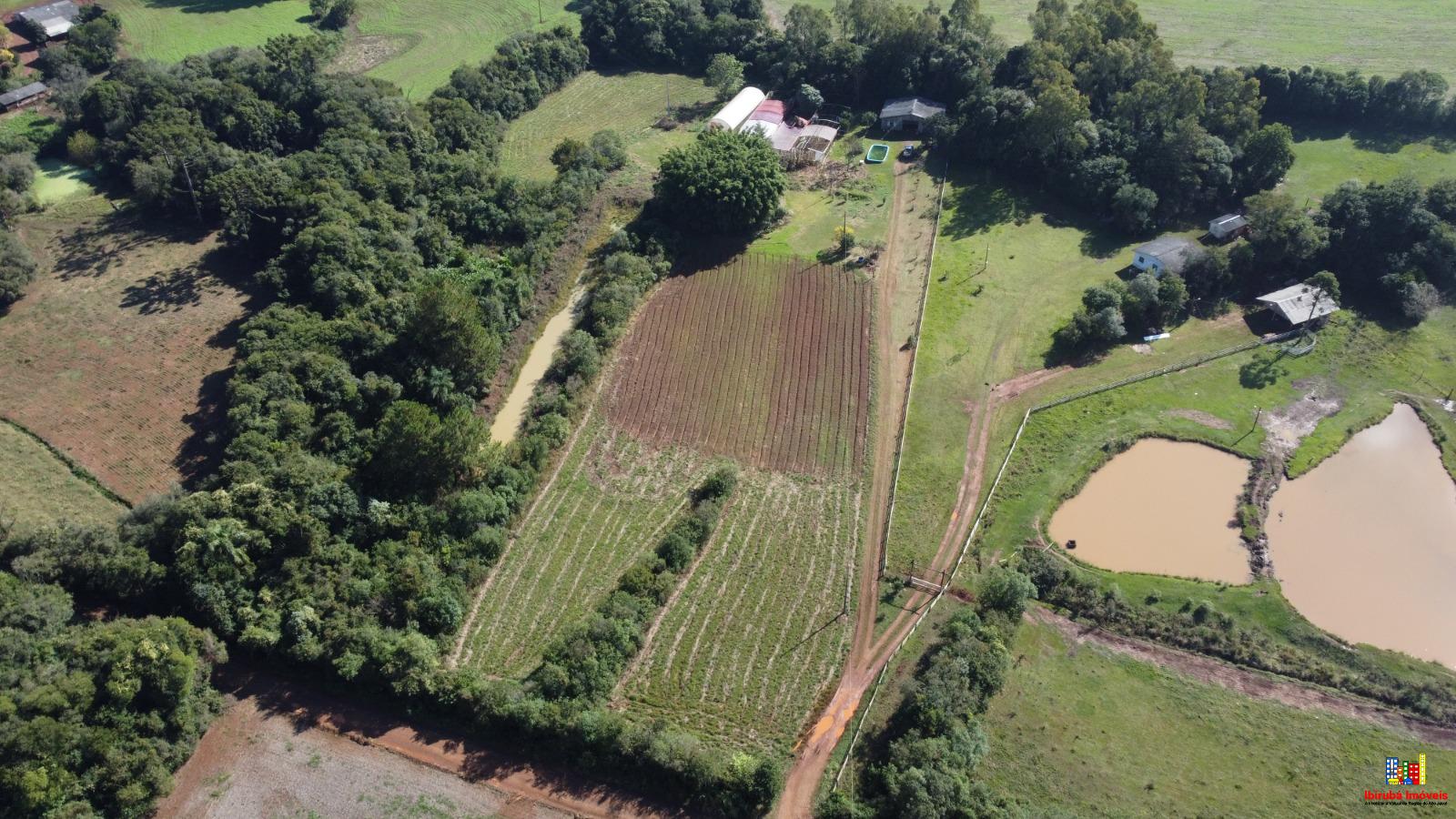 Vende Chácara com 1.000m2 de estrutura de estufa.